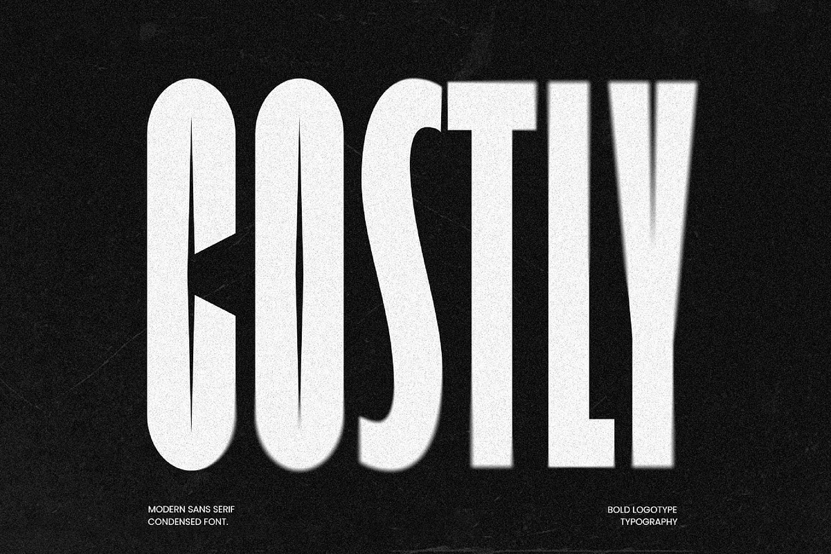 Costly Sans Serif Font, a Sans Serif Font by Graphicxell (Photo 1 of 10)