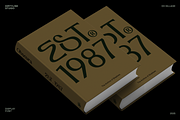 Dx Sillage Elegant Serif Font, a Serif Font by Dirtyline Studio (Thumbnail 16 of 17)
