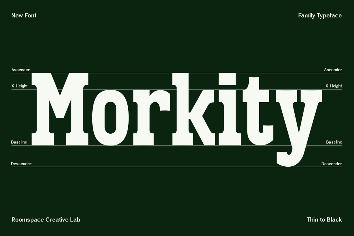 Vortiger – Modern Western Serif, a Serif Font by roomspace creative lab (Photo 8 of 10)