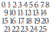Navy & Blush Floral Numbers, an Illustration by Amanda Ilkov (Thumbnail 5 of 5)