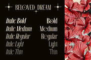 Beloved Dream - 10 Variable Font, a Serif Font by Say Studio (Thumbnail 2 of 13)