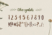 Peomy Extended Font & Illustrations, a Script Font by Wild Ones (Thumbnail 9 of 13)