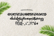 NEWPORT BEACH Brush Script Font, a Script Font by Blush Font Co. (Thumbnail 5 of 5)
