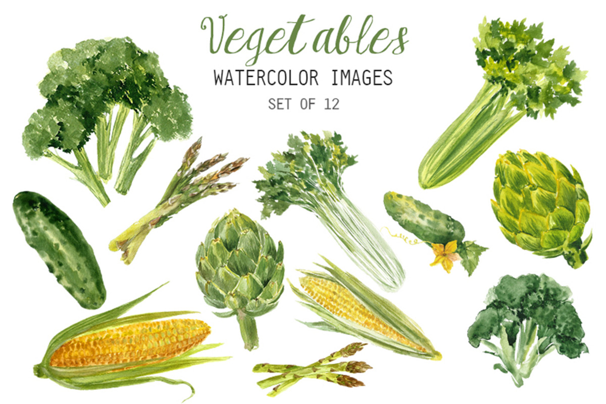 Watercolor Vegetables Clipart, a Food Illustration by YesFoxy