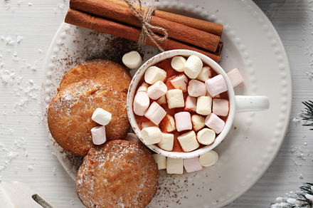 Concept of sweet drink, tasty cocoa drink with marshmallow, top, a Food & Drink Photo by AtlasStudio
