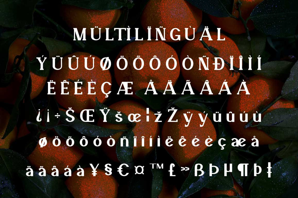 Veronika Display Font, a Serif Font by Cut Story (Photo 14 of 14)