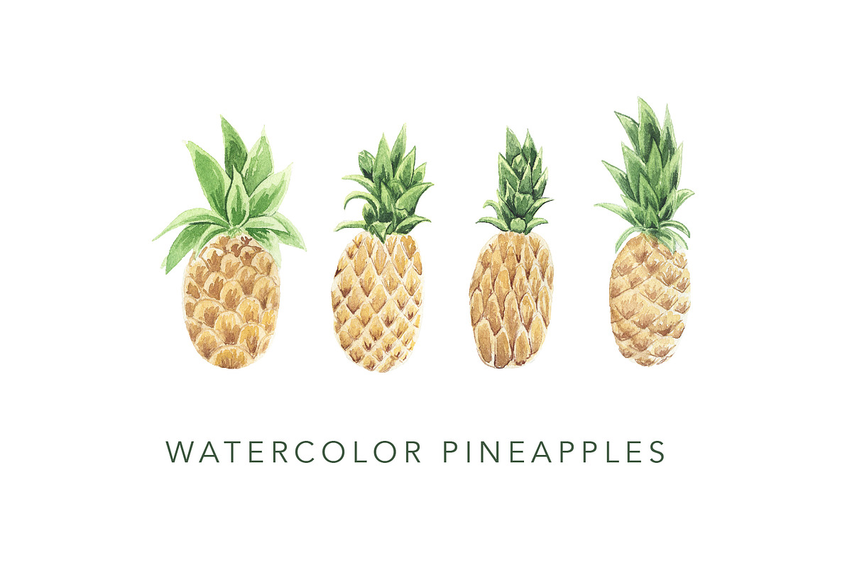 Watercolor Pineapples, an Illustration by One and Only Paper (Photo 1 of 6)