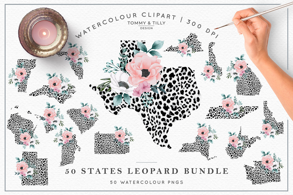 Bestsellers Graphics Bundle, an Animal Illustration by Tommy & Tilly Design (Photo 7 of 21)