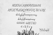 MilkandShake Script, a Script Font by giemons™ (Thumbnail 7 of 7)