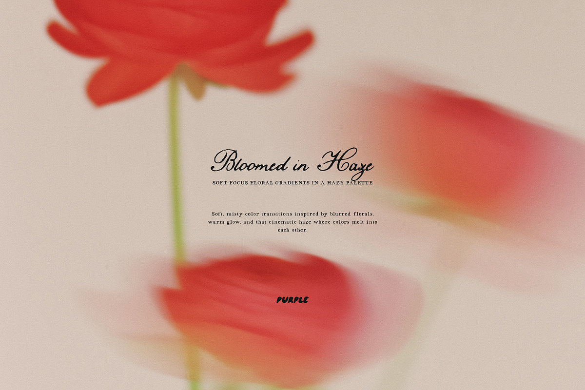 Bloomed in Haze: Floral Backgrounds, a Background Graphic by Purple (Photo 5 of 14)
