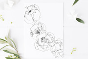 Peony flower hand drawing card, a Card Template by TurquoiseDesign (Thumbnail 2 of 4)