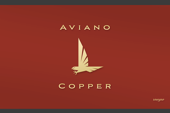 Aviano Copper preview 6
