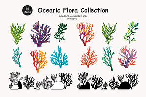 Algae & Coral Vector + Watercolor
