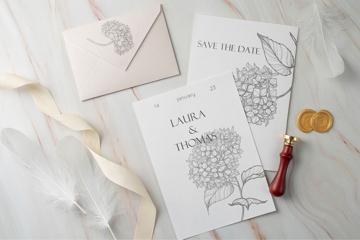Hydrangea Flowers Line Art SVG, a Decorative Illustration by Dervik Art Store (Photo 4 of 6)