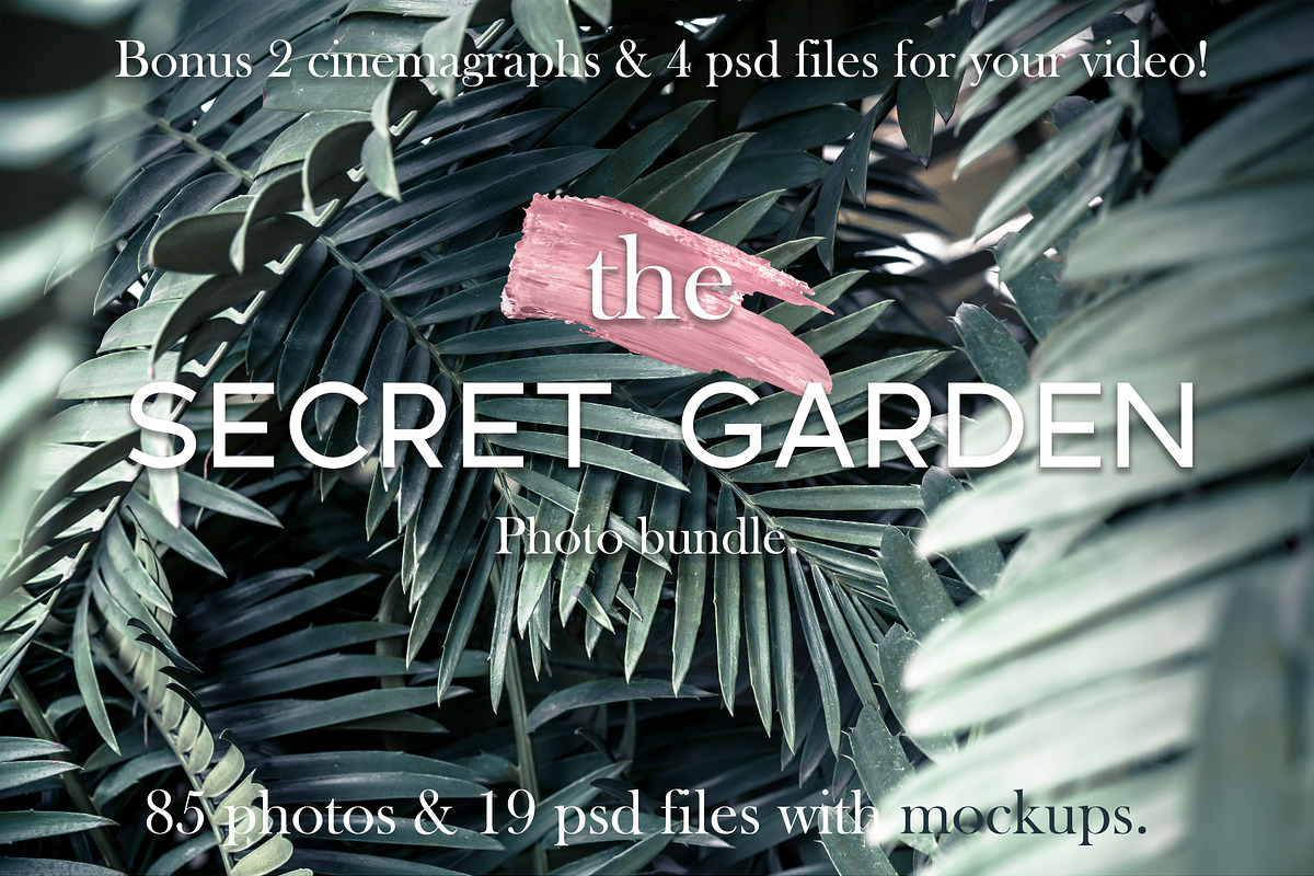 Photo bundle+bonus, a Social Media Template by Una Matison (Photo 2 of 21)
