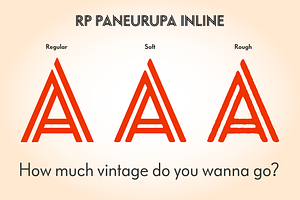 RP Paneuropa Inline - Retro Display