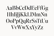 Editor's Note Display, a Serif Font by Jen Wagner Co (Thumbnail 7 of 22)