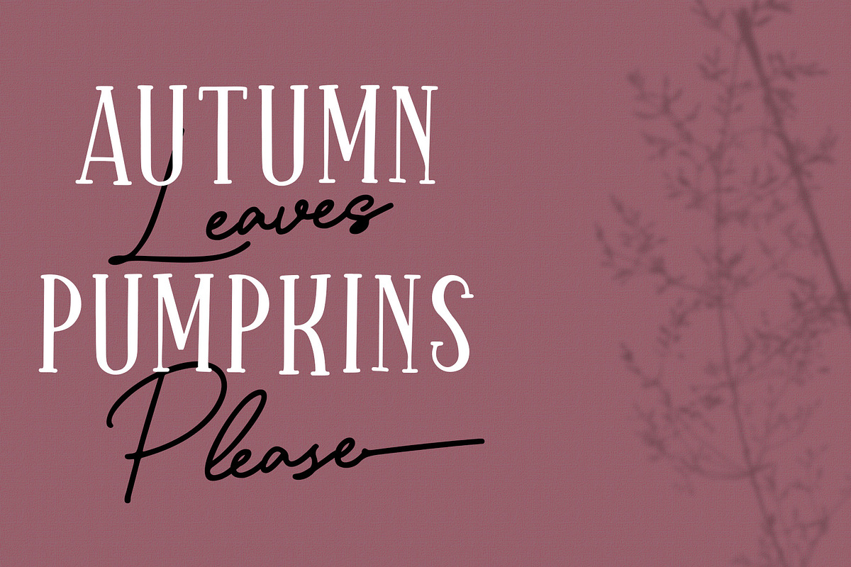 Sparkling Bright - Beauty Font Duo, a Serif Font by Dm Studio (Photo 3 of 10)