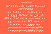 Slightly Famous Monoline Script Font, a Script Font by Arendxstudio (Thumbnail 9 of 9)