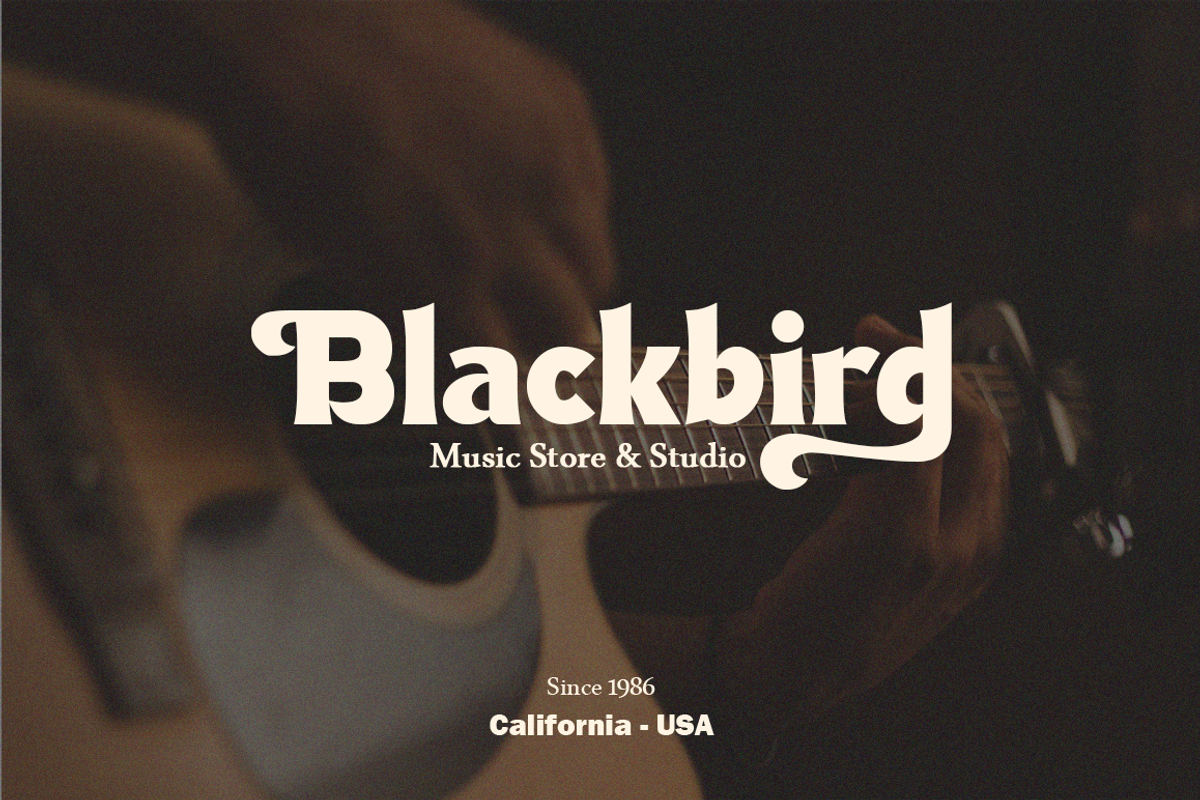 Antagonist Casual Bold Serif, a Serif Font by Haksen (Photo 3 of 15)