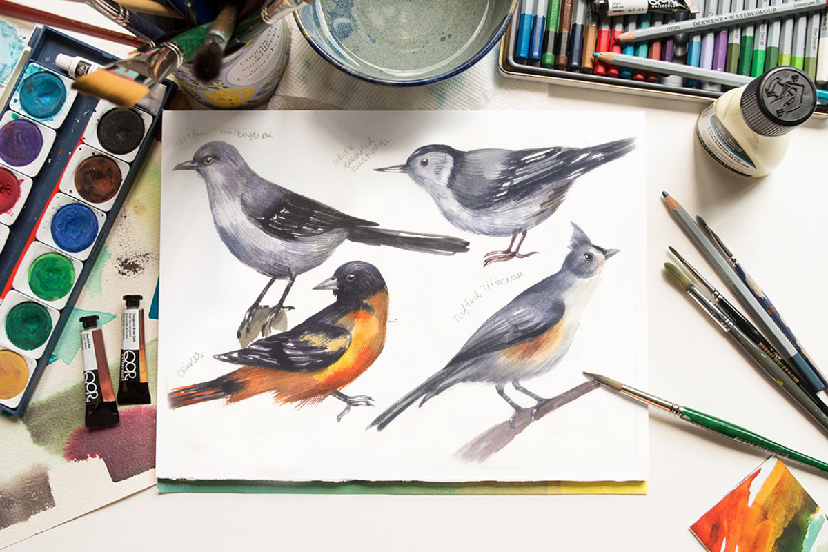 Backyard Birds of North America, an Animal Illustration by FITALARTSNEDIGI (Photo 5 of 8)