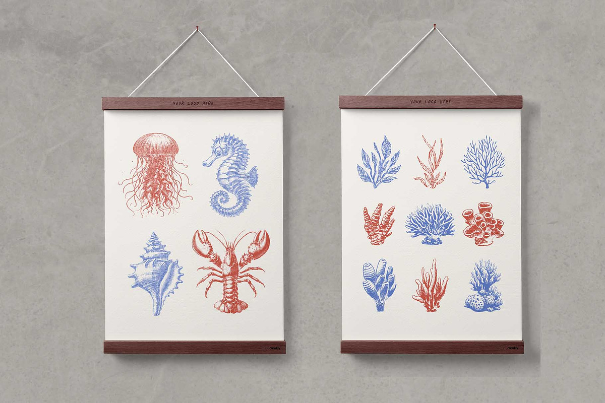 Undersea World - vector &png, an Animal Illustration by Anatartan Design (Photo 12 of 13)