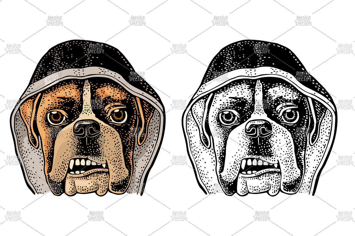 Head dog with human hat, an Animal Illustration by MoreVector (Photo 4 of 4)