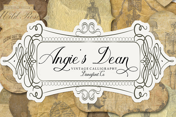 Angie's Dean preview 8