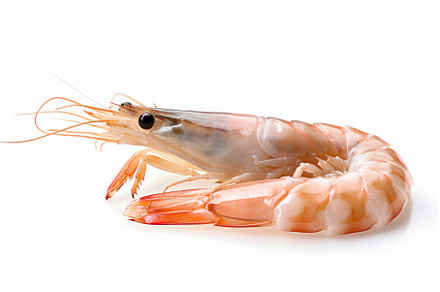 Succulent Fresh shrimp. Generate Ai, a Food & Drink Photo by Ylivdesign