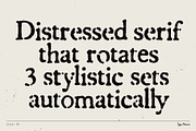Stoner TM – Distressed Dynamic Font, a Serif Font by Type Mania (Thumbnail 2 of 11)