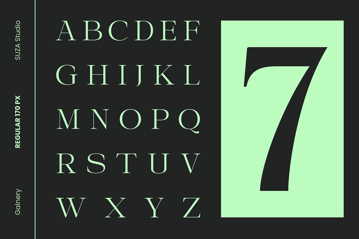 Galnery, a Serif Font by Suza Studio (Photo 6 of 13)