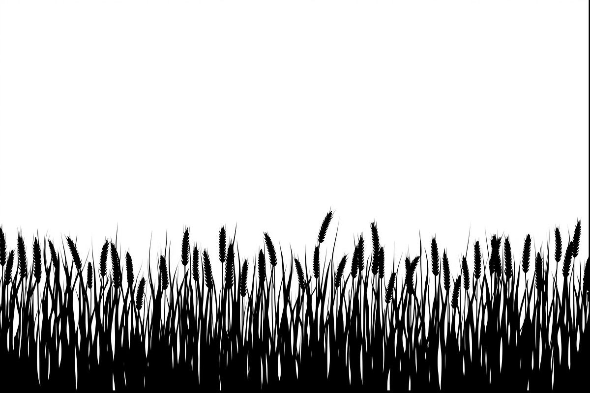 Rustic Wheat Field Vector Borders, an Illustration by hafijul (Photo 9 of 9)