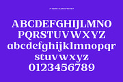 JT Rejiro | Sharp Serif, a Serif Font by Jolicia Type (Thumbnail 5 of 16)