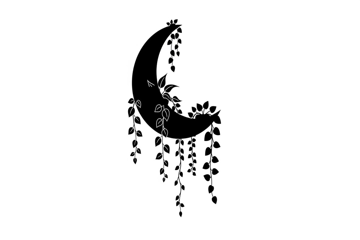 Hanging Moon with Plants Bundle, an Illustration by Designs_River (Photo 21 of 31)