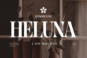 Heluna Elegant Serif Font Typeface