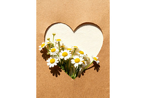 Heart-shaped cutout on brown paper, a Background Photo by tilialucida