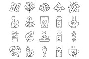 Stevia natural sweetener plant, an Object Graphic by pikepicture (Thumbnail 2 of 3)