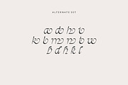 Stefania Font - Classy Font!, a Serif Font by HansCo Studio (Thumbnail 9 of 10)