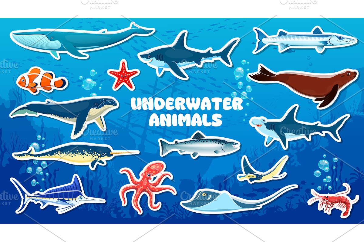 Cartoon underwater animals, an Animal Illustration by Vector Tradition