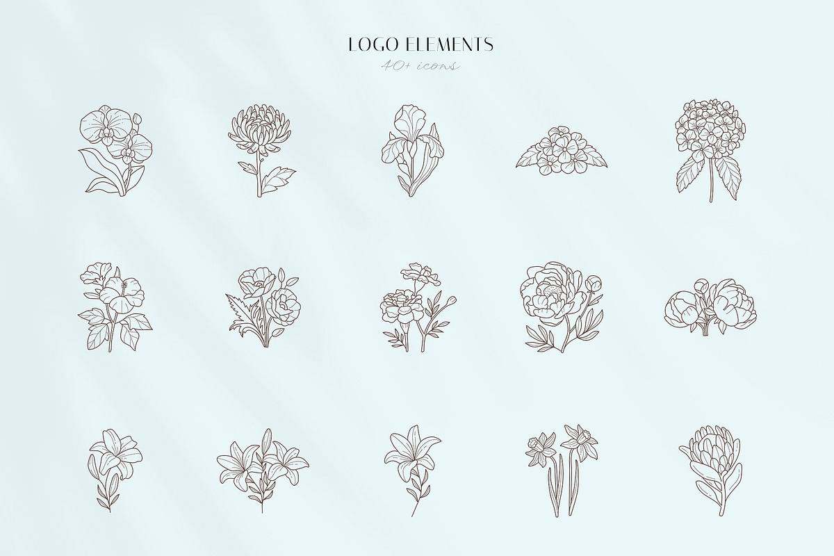 Floral logo elements and templates, a Graphic by Vasylyka (Photo 5 of 12)