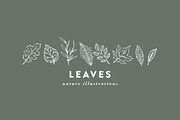 Hand-Illustrated Leaf Vectors, an Illustration by Britt Fabello (Thumbnail 2 of 5)