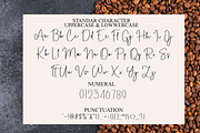 Besthetical, a Handwritten Font by FreshTypeINK (Thumbnail 8 of 8)