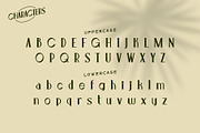 Leonis - Luxury Font, a Serif Font by Snape Design Studio (Thumbnail 3 of 12)