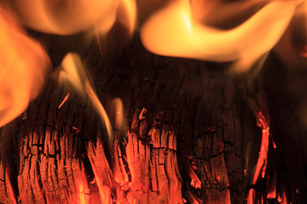 Burning Log with Flame