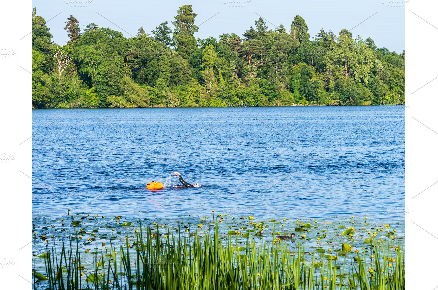 A swimmer enjoys a training session, a Sports & Recreation Photo by Backyard Stock
