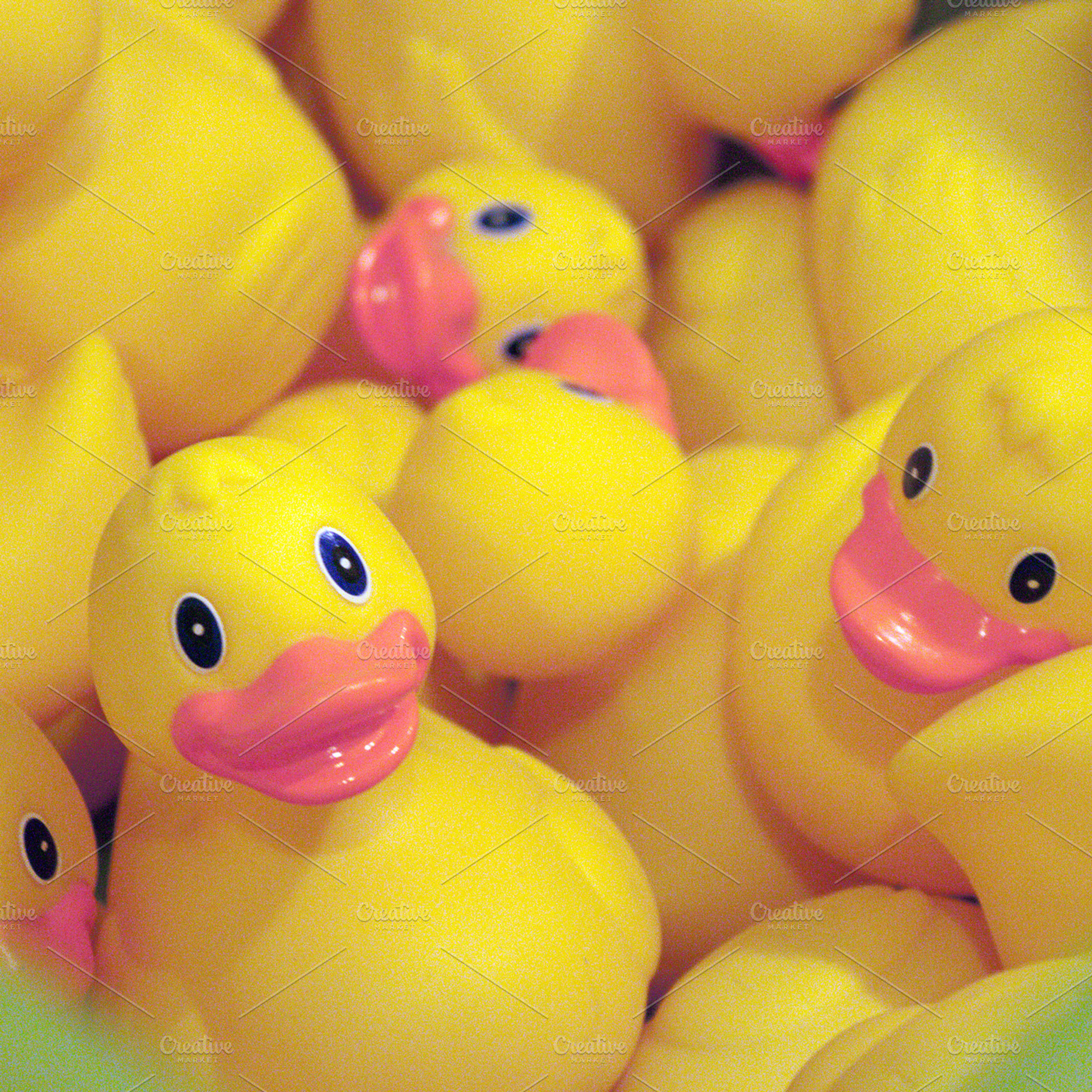 Rubber Ducks In Wait