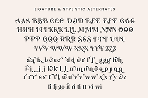 Backslash - Elegant Serif Font