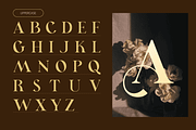 Lavero - Modern Ligatures Font, a Serif Font by Nirmana Visual (Thumbnail 2 of 8)