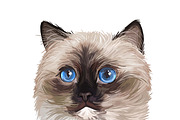 Cats and Kittens, 160 png breeds, an Animal Illustration by Dneprstock (Thumbnail 7 of 11)