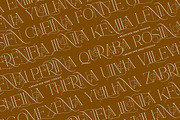 Helrina Amuzar | 10 Font Style, a Serif Font by IM Studio (Thumbnail 2 of 13)